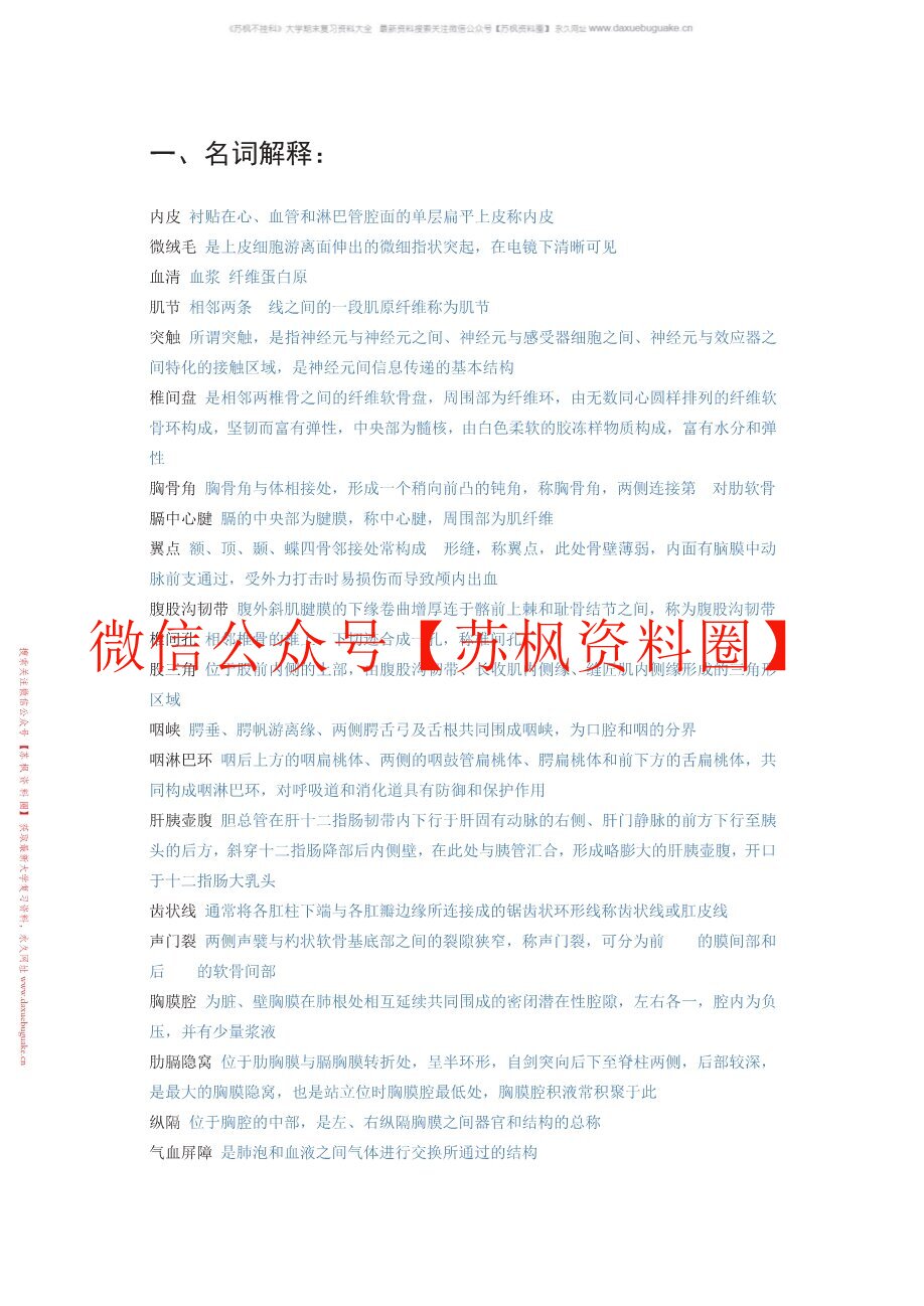 人体形态学(更新)